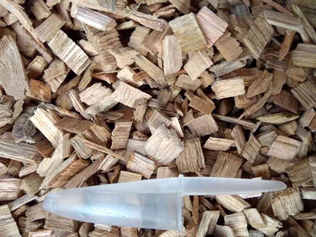 Chip de madeira/Eucalipto